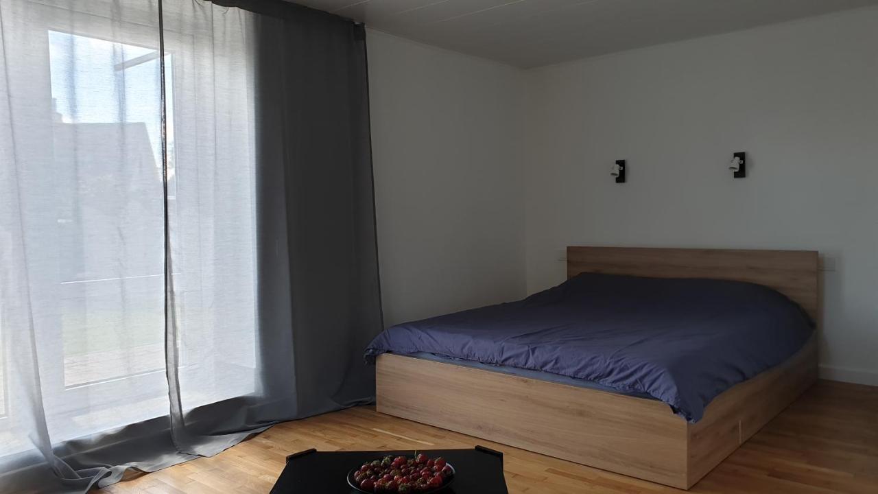 Muziejaus 10 Studija Apartment Anyksciai Exterior photo